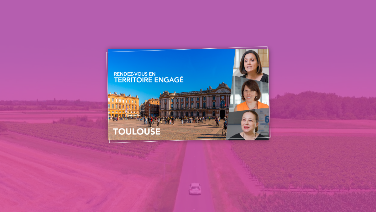 Image de la ville de Toulouse sur fond rose